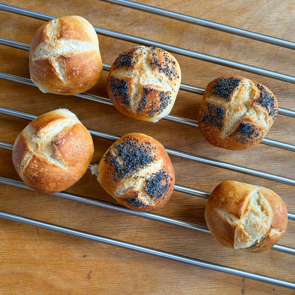 Die neuen Sonntagsbrötchen