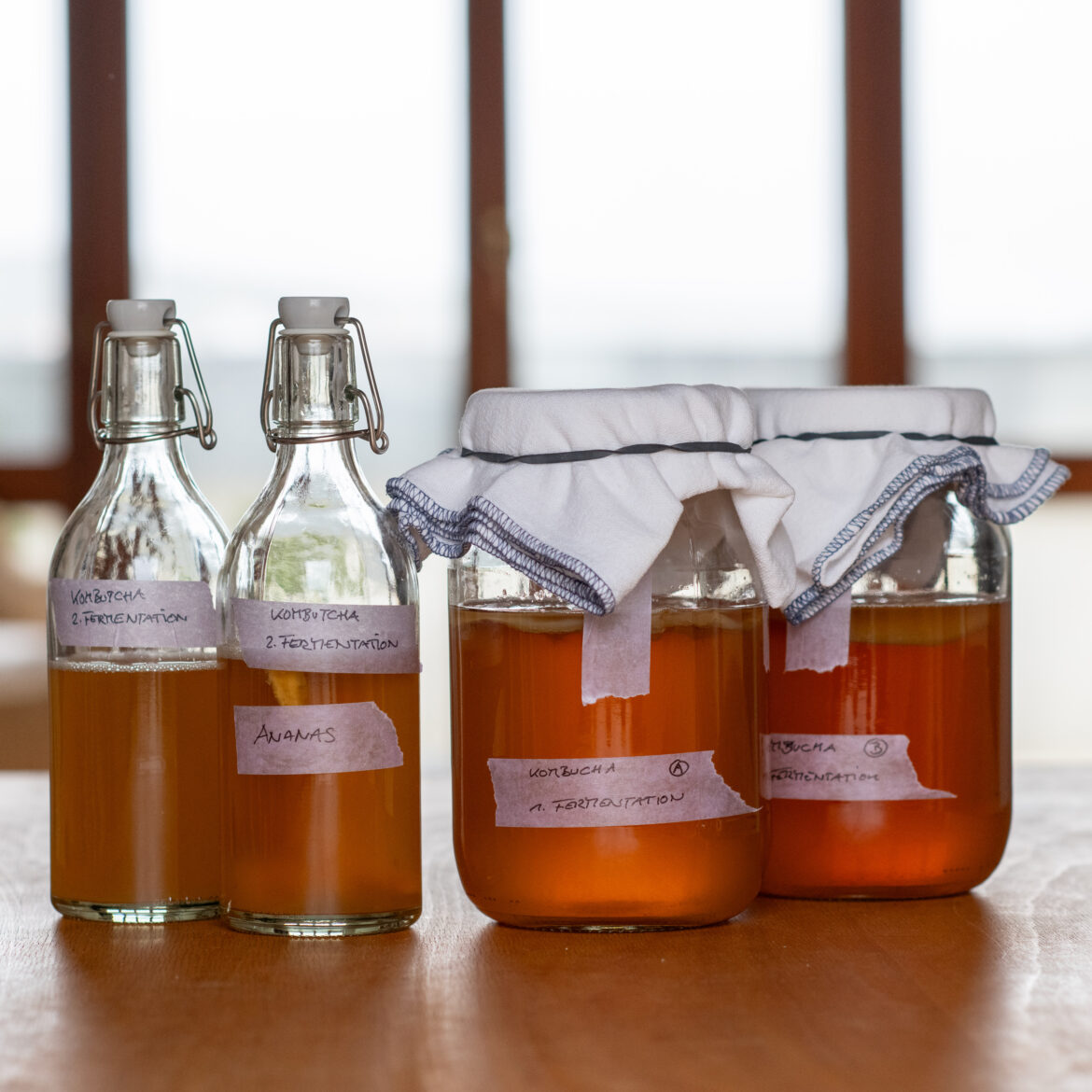 Ansatz Kombucha