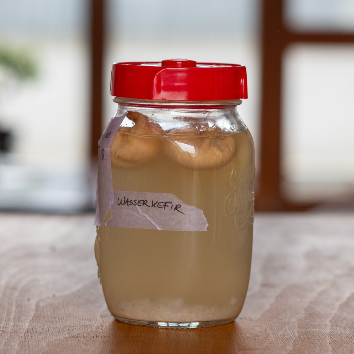 Ansatz Wasserkefir